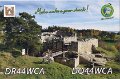 DQ44WCA_