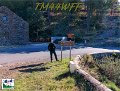 TM44WFF