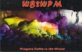 WB2WPM
