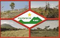 PJ5_SP9FIH