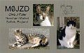 M0JZD_P