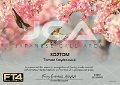 SQ2TOM-JCA-JCA_FT4DMC