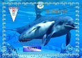dolphins-wdrcm-20-1387